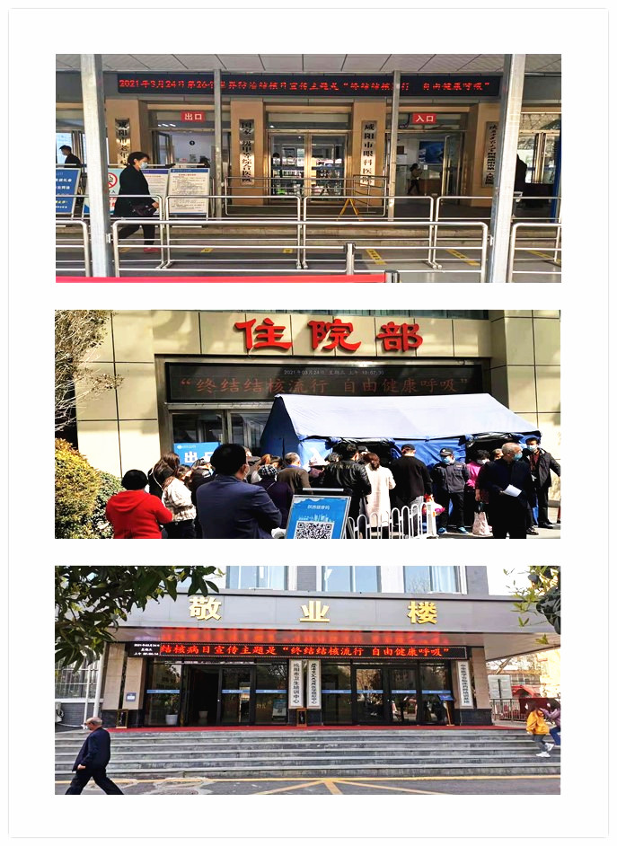 图片11.png