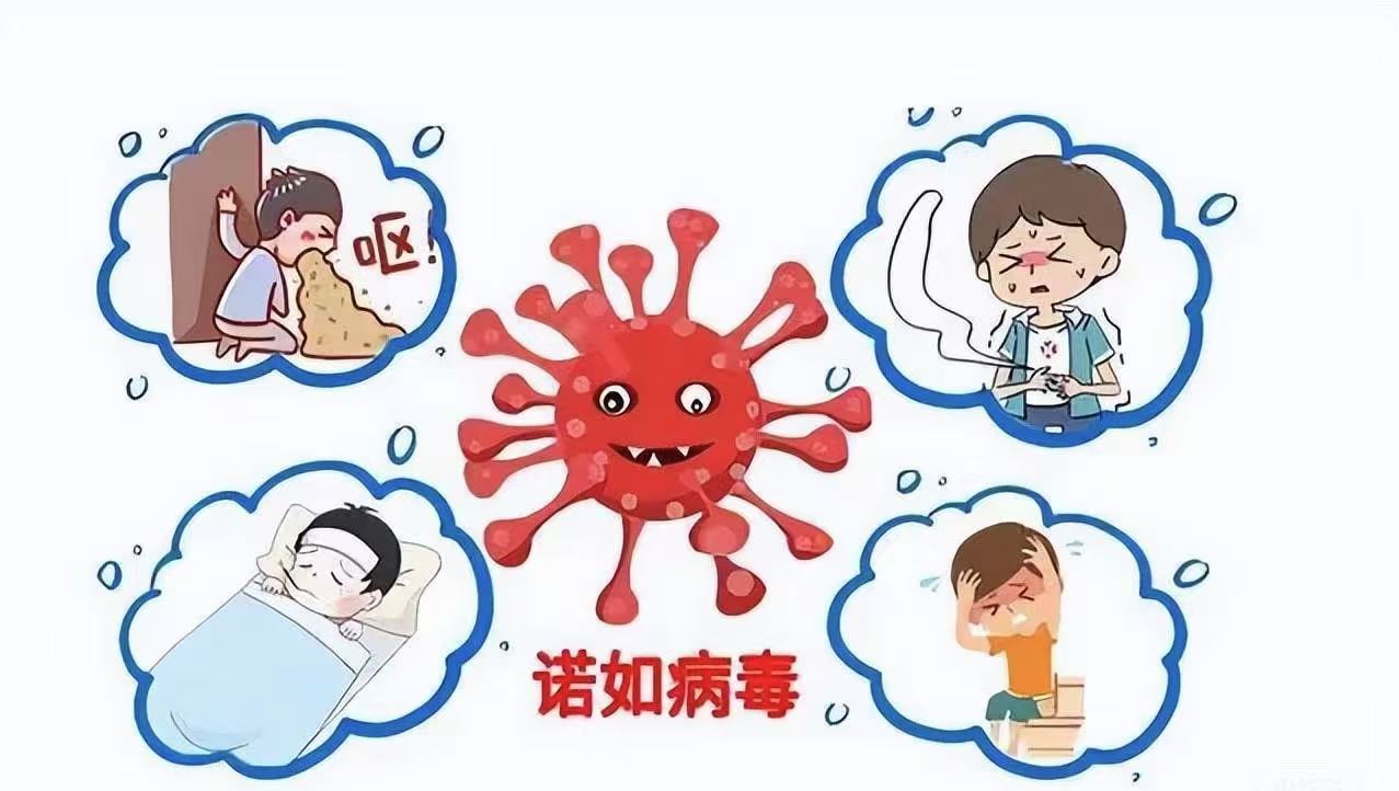 诺如病毒预防指南【个人&家庭篇】
