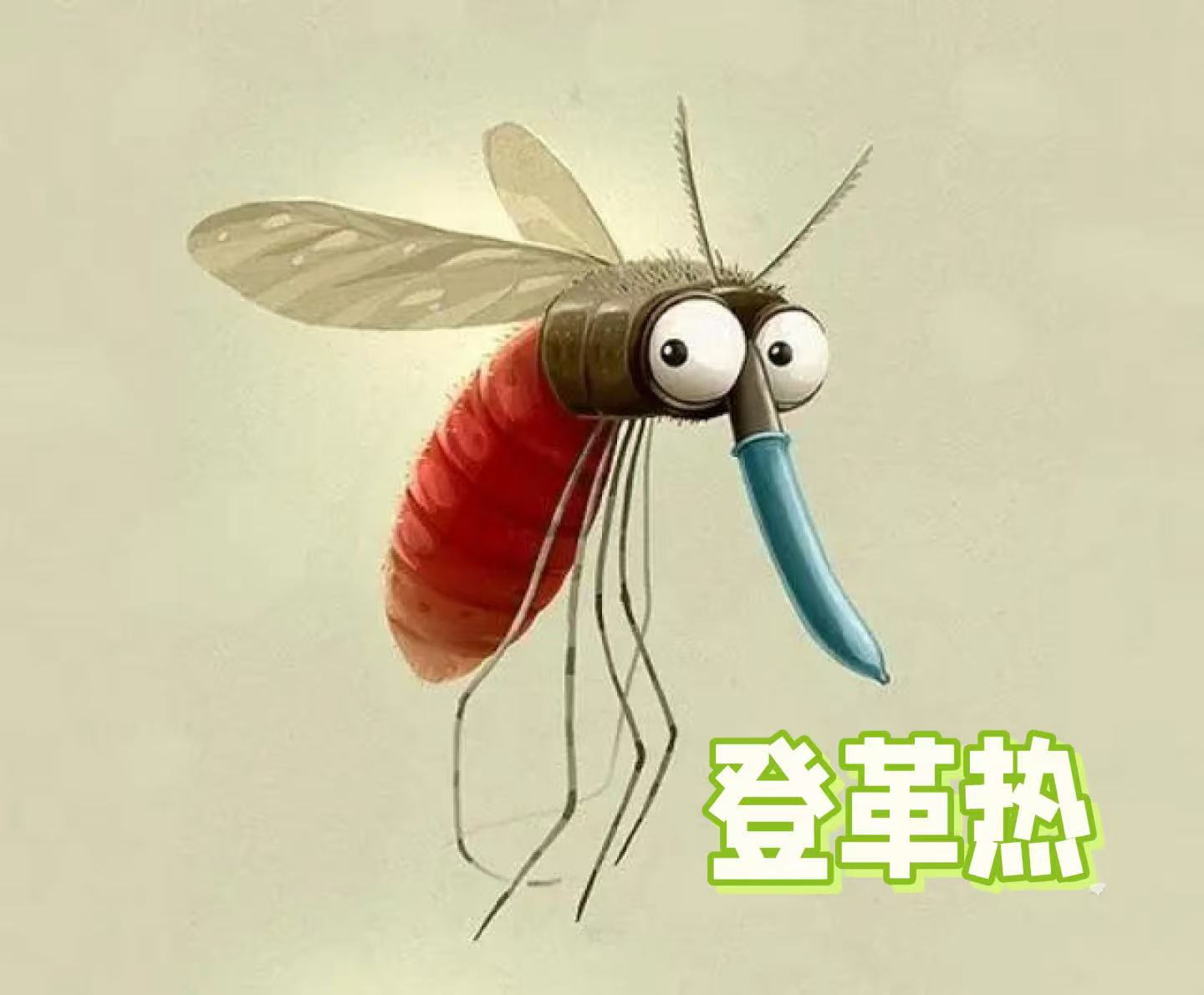 夏季警惕这2种蚊媒传染病！做好4步有效防治→