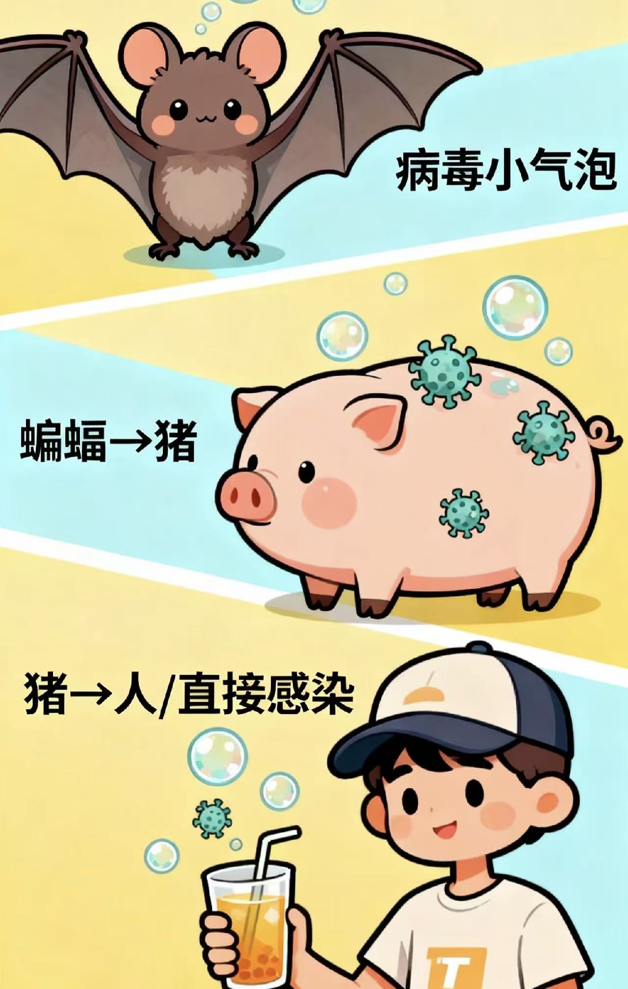 一文读懂尼帕病毒