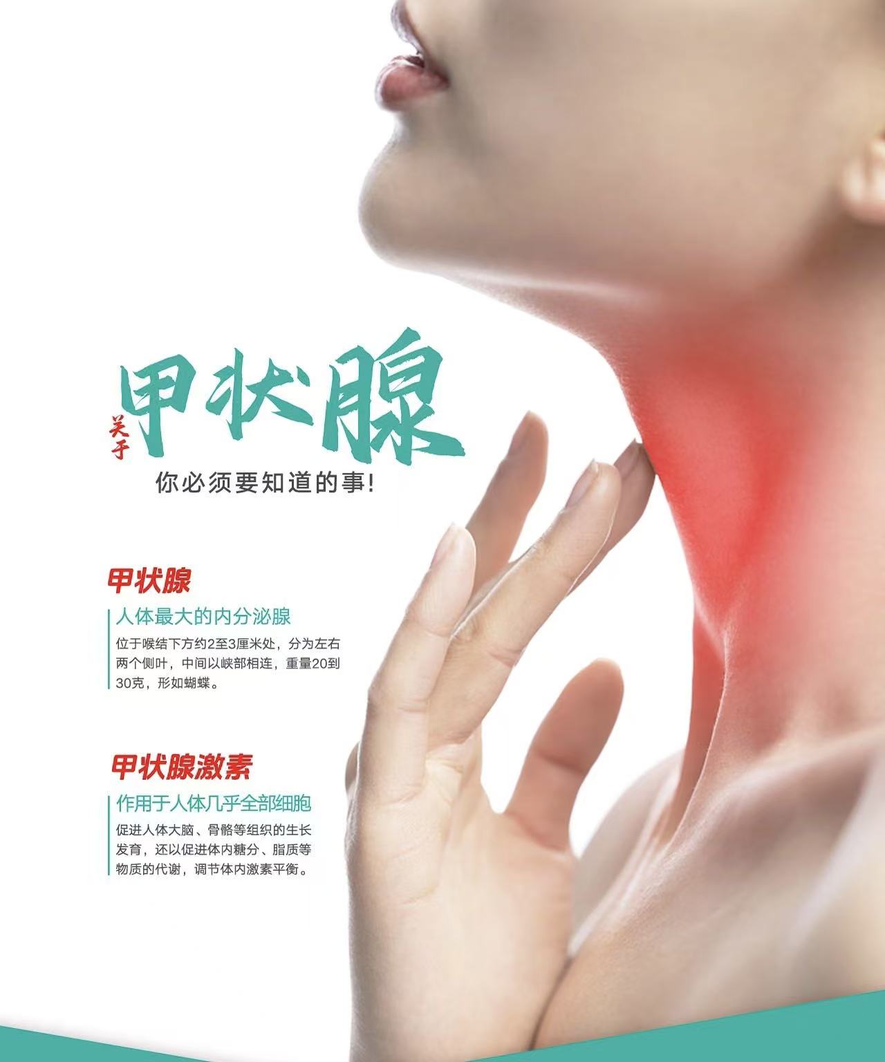 甲状腺癌被称为“懒癌”，但这件事千万不能懒 | 肿瘤防治早知道